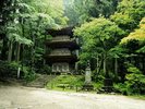 【光前寺】深緑の世界へ