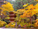 【秋の光前寺】