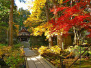 【秋の光前寺】