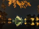 兼六園ライトアップ(写真提供:石川県観光連盟)