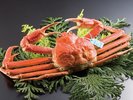 加能ガニ(写真提供:石川県観光連盟)