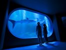 のとじま水族館(写真提供:石川県観光連盟)