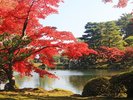 兼六園(写真提供:石川県観光連盟)