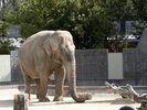 いしかわ動物園(写真提供:石川県観光連盟)