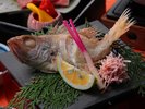 上質な脂溢れるのどぐろを塩焼きでどうぞ