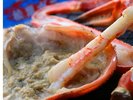 隠岐松葉の焼きガニイメージ。濃厚なみそと蟹身の香りが口いっぱいに広がります。
