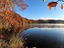 一碧湖（車15分）、紅葉の見頃は毎年11月下旬～12月上旬