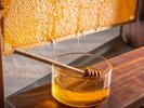 朝食会場:レストランセリオ(グループホテル:アートホテル日暮里ラングウッド内、徒歩2分)