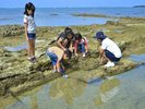 リーフウォッチング(3〜10月)お子様から大人まで夢中になれる自然体験プログラム ※予約制