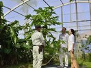 農園散策(毎日開催) ホテルに隣接する農園「OUR FARM」をホテルスタッフがご案内いたします。