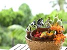 自家農園「OUR FARM」で収穫された種類豊富な旬のお野菜
