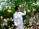 自家農園「OUR FARM」 野菜やハーブをシェフ自らが吟味し、極上の一品に仕立てます。