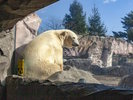 【周辺観光】八木山動物公園 フジサキの杜/車で30分