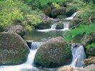 【周辺観光】二口峡谷/車で30分