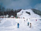 【周辺観光】仙台泉スキー場/車で50分