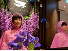 フロント装飾梅雨