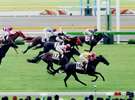 ホテルより新潟競馬場まではお車で約20分と絶好のアクセス!直行シャトルバスも運行!!