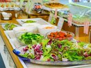 【夕食ビュッフェ】彩り野菜のサラダビュッフェです。豊富なトッピングでオリジナルサラダをどうぞ!