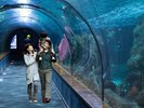 【マリンピア日本海】お車で約50分。冬のアクティビティなら新潟市立水族館水族館がおすすめ!