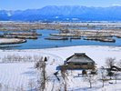 【福島潟】お車で約15分。冬は雪に覆われた景色や、白鳥など多くの渡り鳥を観察することができます。
