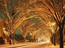 【イルミネーション】冬の新潟では各地でさまざまな雪まつりやイルミネーションが開催されます!