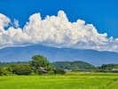 【新発田市内 田園風景】夏の新発田市内では広大な田園と山々がマッチしてのどかです。