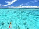 �y���d�����{�[�g�V���m�[�P���z�����ő�̎X��ʌQ�u���d�����i���r�W�j�v�ŃV���m�[�P���I