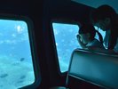 【半潜水式水中観光船「シースカイ博愛」】水深25mの美しい海の世界をお楽しみください。