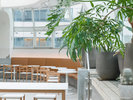 THE POOLSIDE�iGUEST LOUNGE�j