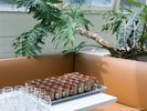 THE POOLSIDE�iGUEST LOUNGE�j