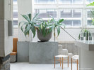 THE POOLSIDE�iGUEST LOUNGE�j