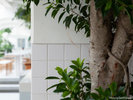 THE POOLSIDE�iGUEST LOUNGE�j