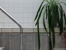 THE POOLSIDE�iGUEST LOUNGE�j