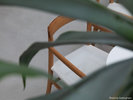 THE POOLSIDE�iGUEST LOUNGE�j