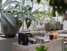 THE POOLSIDE�iGUEST LOUNGE�j