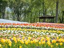 まんのう公園