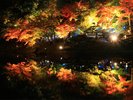 栗林公園 秋のライトアップ