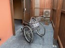 �y�o���A�t���[�^���E���W���z���ւ̓����B