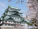 〈観光〉名古屋城
