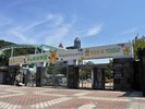 東山動物園