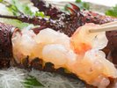 ☆伊勢海老のお刺身※イメージ