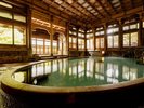 登録有形文化財「桃山風呂」内風呂