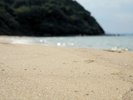姉子の浜、鳴き砂を守る取り組みを実施