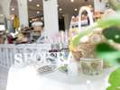 SHOP SEA