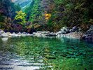 【阿寺渓谷】車で約35分。夏は新緑、秋は紅葉が特に人気。