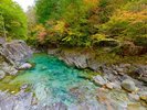【阿寺渓谷】車で約35分。透明度の高い水と迫力ある岩場、木々に囲まれた景観が魅力です。