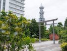 ◆屋上庭園|約1,000本の四季折々の木々や花々が皆さまをお迎えします