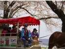 北上展勝地「さくらまつり」は、開花に合わせて例年4月上〜中旬より20〜25日程度開催されます