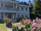 恩賜箱根公園。毎年恒例の「初夏のバラ展」が、2026年も開催されます