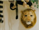 伊豆シャボテン動物公園とコラボしたアニマルルームが誕生♪